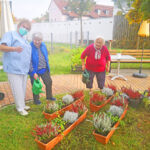 Pflanzaktion mit den Bewohnerinnen und Bewohnern des BRK Altstadtparks.