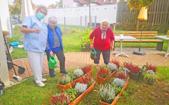 Pflanzaktion mit den Bewohnerinnen und Bewohnern des BRK Altstadtparks.