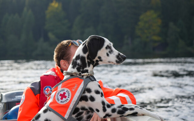 Rettungshunde mit Hundeführer auf einem Rettungsboot der Wasserwacht, Im Hintergrund der FIchtelsee.