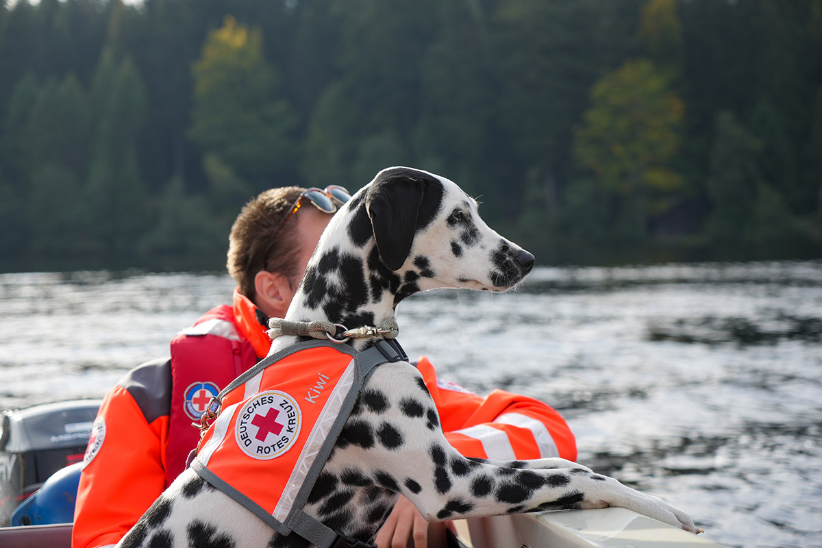 Rettungshunde mit Hundeführer auf einem Rettungsboot der Wasserwacht, Im Hintergrund der FIchtelsee.